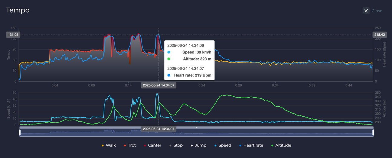 HR max of a horse in canter during a training session.